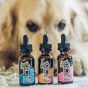 Is CBD For Aggressive Dogs the Real Deal?